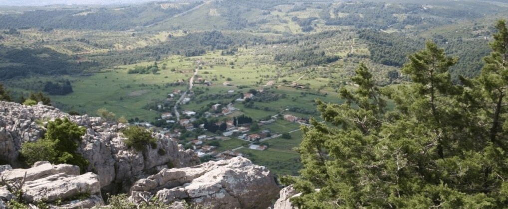 Ο Δασικός Συνεταιρισμός Κυπαρισσίου Ο Δασικός Συνεταιρισμός Κυπαρισσίου