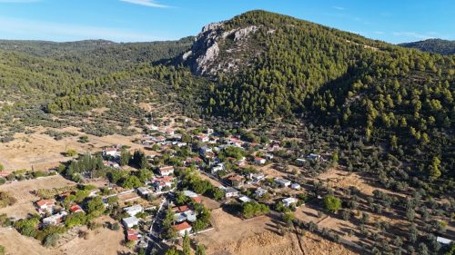 DJI_20250925075037_0019_D