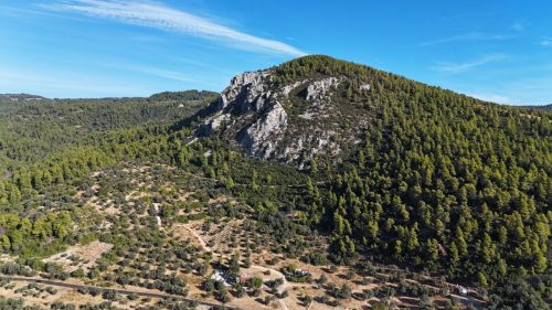 DJI_20250925082931_0055_D