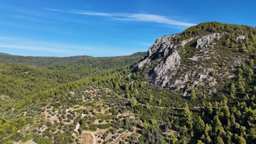 DJI_20250925083222_0070_D