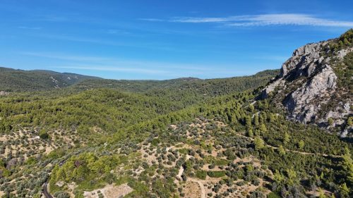 DJI_20250925083224_0071_D
