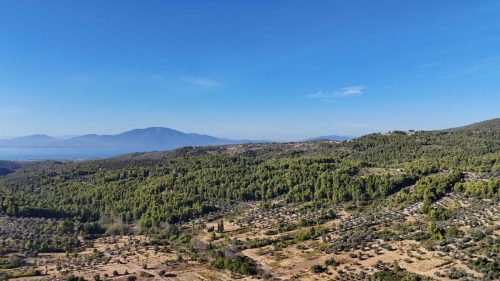 DJI_20250925083228_0072_D