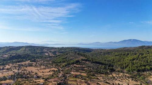 DJI_20250925083234_0073_D