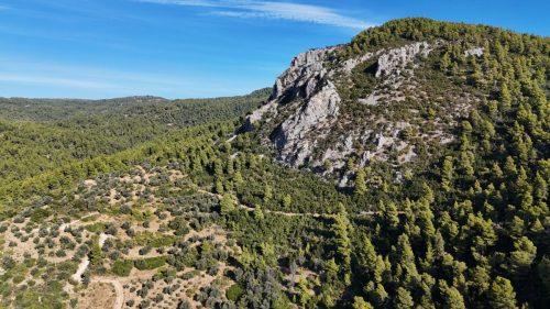 DJI_20250925083322_0078_D