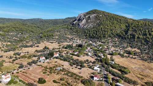 DJI_20250925084030_0113_D