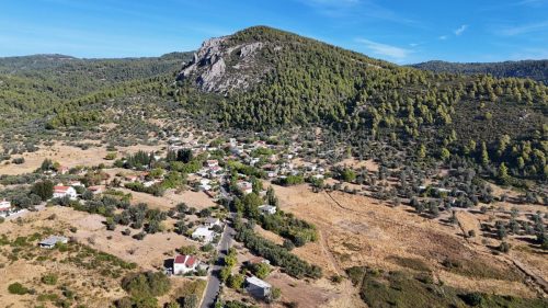 DJI_20250925084041_0115_D