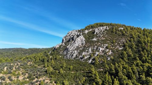 DJI_20250925090553_0128_D