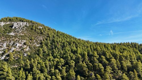 DJI_20250925090557_0130_D