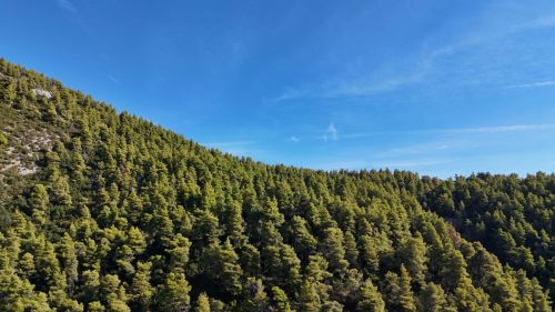 DJI_20250925090559_0131_D