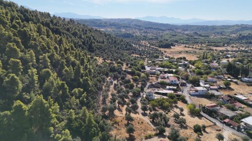 DJI_20250925090640_0138_D