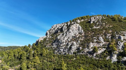 DJI_20250925090647_0139_D