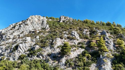 DJI_20250925090659_0140_D